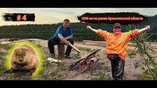 #4 Деловитый бобр | Река Вага | Испытания паруса | 1000 км по рекам Архангельской области