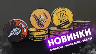 Новинки OVERDOSE, Banger, Black Burn!