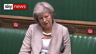 Theresa May attacks PM's security adviser appointment