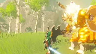 Hero of Time DESTROYS Gold Lynel - Zelda Breath of the Wild