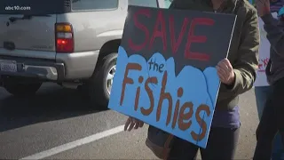 SeaQuest holds its grand opening in Folsom with opposition from protestors