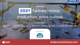 UCN webinar: Farmed shrimp production, price outlook with pandemic now 'new normal'