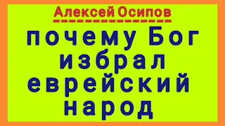 почему Бог избрал еврейский народ (Алексей Осипов).