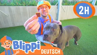 Blippi Deutsch - Blippi besucht das Tierheim | Abenteuer und Videos für Kinder