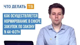 Как осуществляется нормирование в сфере закупок по Закону N 44-ФЗ?