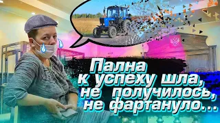 Ч.30  Отжали по-полицейски. Решение суда. Кому отдали прицеп!