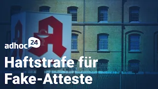 Haftstrafe für Fake-Atteste / Rezepte bald 28 Tage gültig / FDP: Wieder mehr pro Apotheke