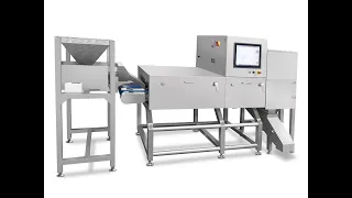 TDI Packsys Bulk Flow X-Ray Inspection System