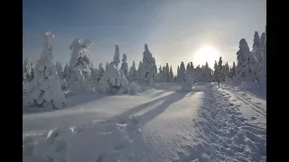 Сказочный зимний лес! Уральские горы. Откликной гребень, Таганай!