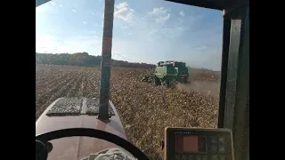 Combining corn in south central Wisconsin