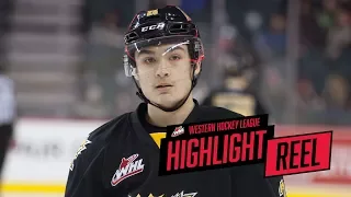 2017-18 HIGHLIGHT REEL | Evan Weinger