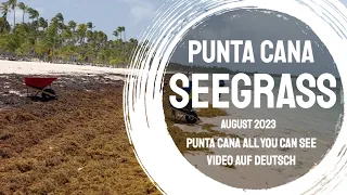 Seegrass Report Lopesan, Barcelo, Palladium, Occidental, Bavaro Princess: Punta Cana all you can see