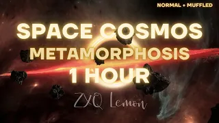 Space Cosmos - Metamorphosis 1 Hour Version | Normal + Muffled