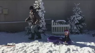 DIY snow machine turns Florida home into winter wonderland