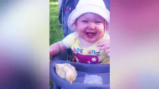 FUNNY VINE ★ Самые смешные дети и животные на ферме    Funny Babies and Animals Videos   YouTube