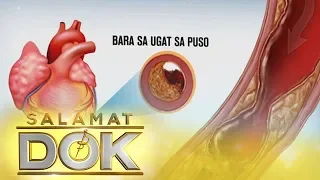 Information about Coronary Artery Disease | Salamt Dok