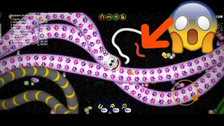 Worms Zone io Biggest Snakes 😱😱🐍🐍😍😍