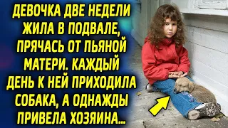 Каждый день к ней в подвал приходила собака, а спустя время привела хозяина, который…