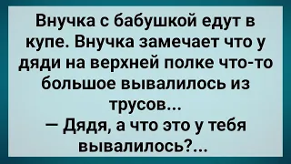 Внучка и Мужик с Большим Хозяйством в Купе! Сборник Свежих Анекдотов! Юмор!