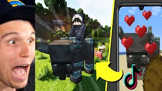 Paluten REAGIERT auf Ich teste 9 VIRALE MINECRAFT TIKTOKS die DU noch NICHT kanntest!