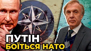 Всі погрози Литві та Естонії від росії - це БЛЕФ, кремль не піде на війну з НАТО / ОГРИЗКО