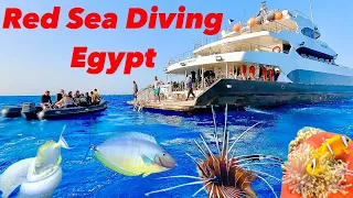 Diving in Egypt! Red Sea Scuba Liveaboard