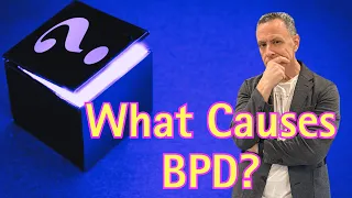 Between Confusion and Clarity: Borderline Personality Disorder (BPD) Determinants