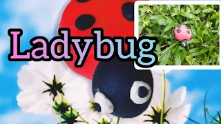 Making ladybug/clay modeling for kids/Clay കൊണ്ട് ലേഡിബഗിനെ ഉണ്ടാക്കിയാലോ🐞🐞🐞🤩🤩🤩