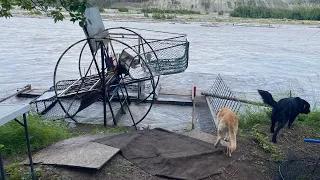 Road trip to Chitina AK to check out a fish wheel on the Copper River