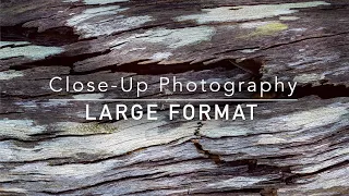 Large Format Closeup Landscape Photography