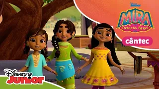 🤷 Cine o fi? | Mira, Detectiv Regal | Disney Junior România