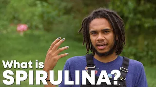 What is Spirulina w/ William Padilla-Brown (Mini Doc pt 2)