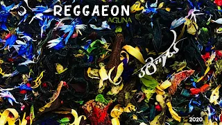 REGGAEON - ბარათი | Barati