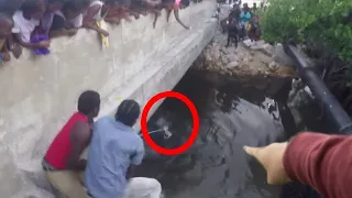 What They Captured In A River Shocked The Whole World