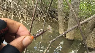 micro camarão artificial no mangue pesca ultralight caiaque tuna 115