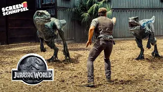 Owen Grady rettet Kind vor Velociraptoren | Chris Pratt | Jurassic World | Screen Schnipsel
