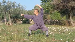 Shaolin Kung Fu Class 11: Wu Bu Quan