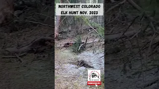 Northwest Colorado Deer & Elk Hunt 2023