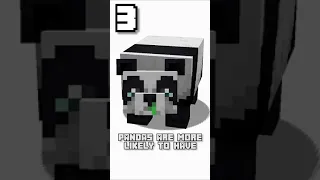 Minecraft Panda Facts #shorts