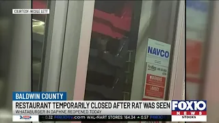 Whataburger customer spots rat in drive-thru window in Daphne Alabama