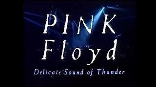 Pink Floyd - Delicate Sound of Thunder