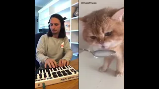 Кот пьёт молоко и поёт | The Kiffness X NumNum Cat (Live Looping Balkan Remix)