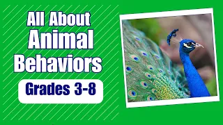 Animal Behavior - More Real World Science on the Learning Videos Channel