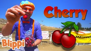 Blippi Learns about Cherries| Blippi | Nursery Rhymes | Healthy Kids | Blippi toys | Healthy Habits