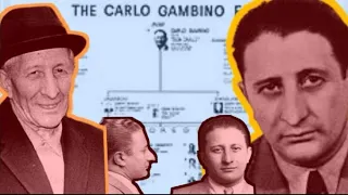 Carlo Gambino the Boss of Bosses