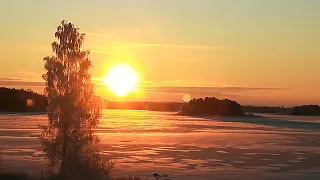 Finland - #Winter #Frostyday /Angel Snowbird