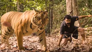 Mohanlal Blockbuster Telugu Ultimate Tiger Scene || Telugu Movies || Kotha Cinema