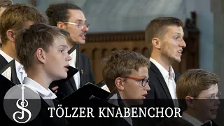 Johann Michael Bach | Halt was du hast - Tölzer Knabenchor