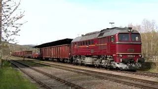 Die 120 274 im raum Gera unterwegs - Taigatrommel im Güterzugdienst
