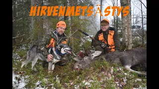Hirvenmetsästys / moose hunting 2022